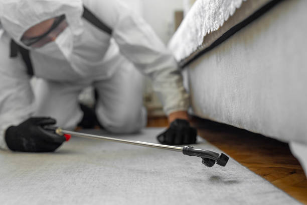 Professional Pest Control technician working in Ford County County, IL